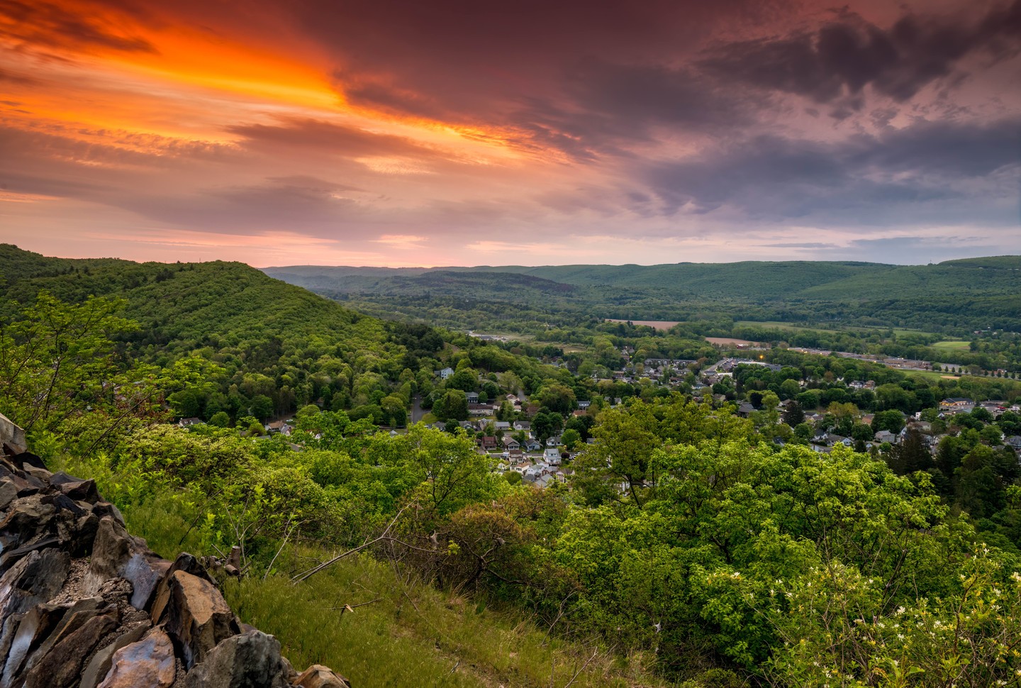 Protected: Orange County Tourism