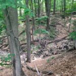 Hickory Hills Golf Course