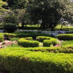 Herb Wheel Garden Herb Wheel Garden