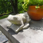 Cliff Haus Cliff Haus