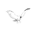 Robert Campbell Digital Media, LLC