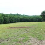 Then Again Farm / Banbury Cross Farm LLC