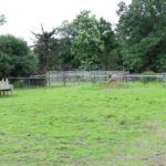 Then Again Farm / Banbury Cross Farm LLC