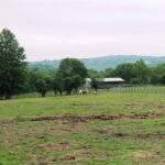 Then Again Farm / Banbury Cross Farm LLC