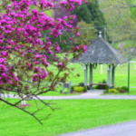 The Storm King School