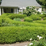 Herb Wheel Garden Herb Wheel Garden