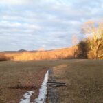 SquirrelWood Equine Sanctuary SquirrelWood Equine Sanctuary