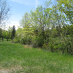 Moodna Train Trestle