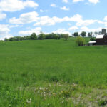 Brookview Farm