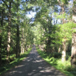 Arrow Park Lake & Lodge