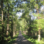 Arrow Park Lake & Lodge