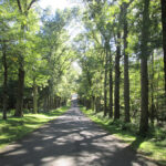 Arrow Park Lake & Lodge