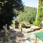 Arrow Park Lake & Lodge