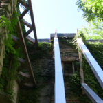 Colden Mansion Ruins
