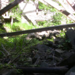 Colden Mansion Ruins