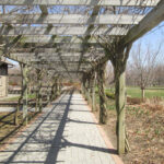 Thomas Bull Memorial Park