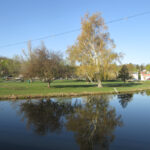 Village of Monroe, Millpond