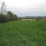 Valley View Cemetery