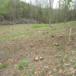 Valley View Cemetery