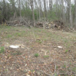 Valley View Cemetery