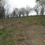 Valley View Cemetery