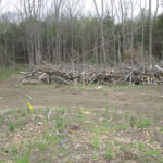 Valley View Cemetery