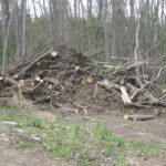 Valley View Cemetery