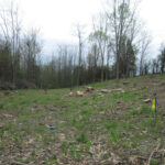 Valley View Cemetery