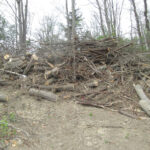 Valley View Cemetery