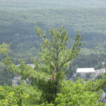 Elks-Brox Memorial Park Elks-Brox Memorial Park