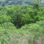 Elks-Brox Memorial Park Elks-Brox Memorial Park