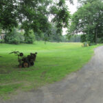Orange County Farmer’s Museum
