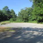 Stewart State Forest