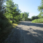 Stewart State Forest