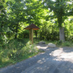 Stewart State Forest