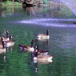 Cornwall on the Hudson