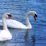 Cornwall on the Hudson