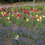 Orange County Arboretum