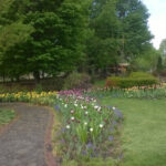 Orange County Arboretum