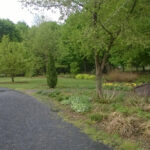 Orange County Arboretum