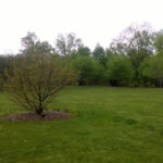 Orange County Arboretum