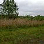 County Repair Station