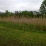 County Repair Station