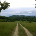 Moodna Train Trestle