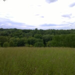 Moodna Train Trestle