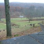 Old Mountain Road Farm