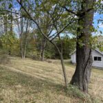 Teddy’s Big Island Road Teddy’s Big Island Road