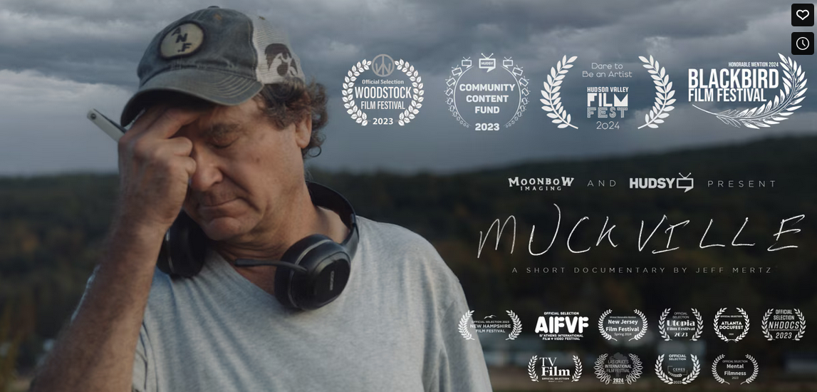 Regenerative Film Series