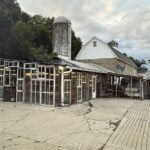 Echo Fields Echo Fields